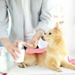 Pet Care Products 2